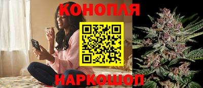 соль ск Кингисепп