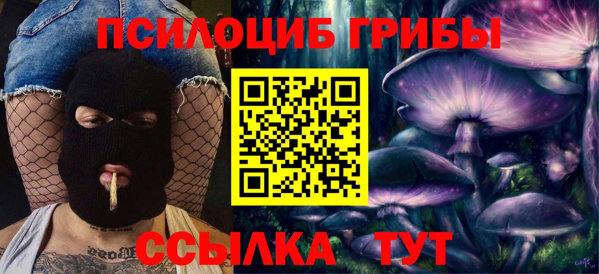 Галлюциногенные грибы Psilocybine cubensis  Вход с VPN  Котовск 