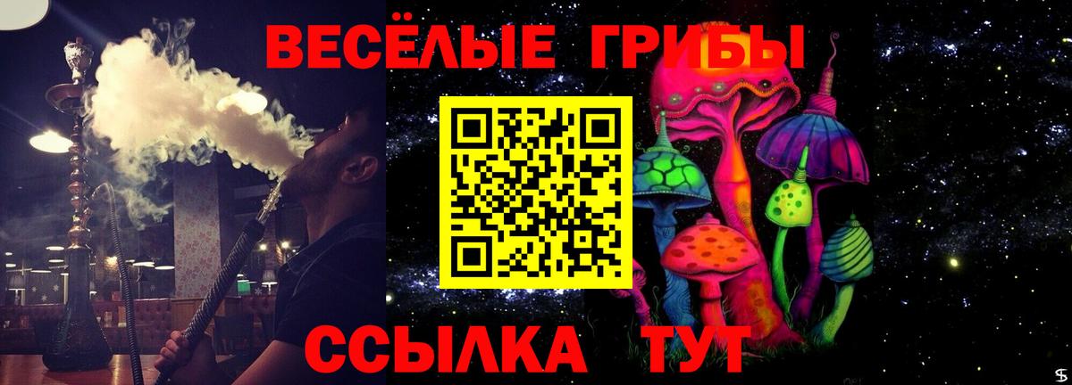 Галлюциногенные грибы прущие грибы Котовск